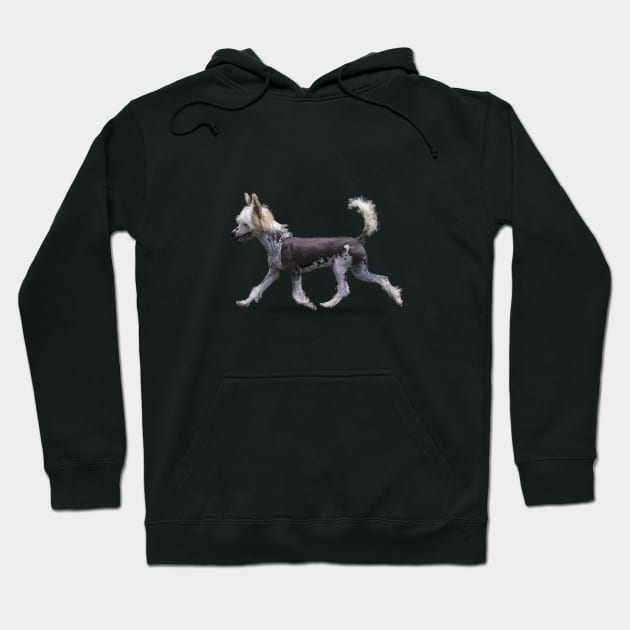 The Chinese Crested Dog Hoodie by Elspeth Rose Design